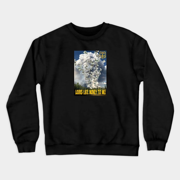 Looks Like $$$$ Crewneck Sweatshirt by Firethreadz